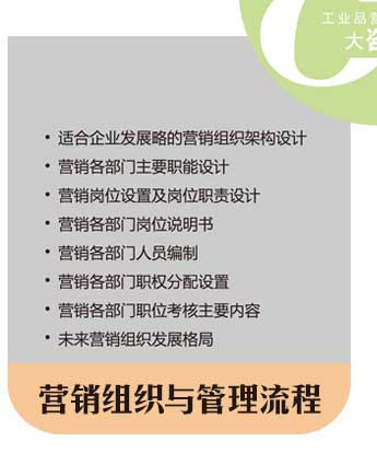 营销组织与管理流程 营销组织与管理流程